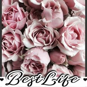 Meet your Posher, Leticia